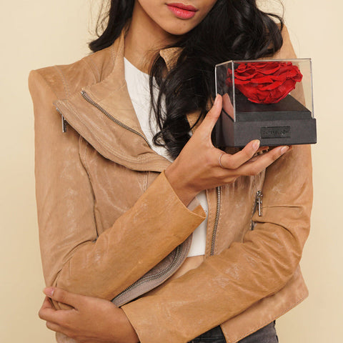 Astoria - Magic Rainbow