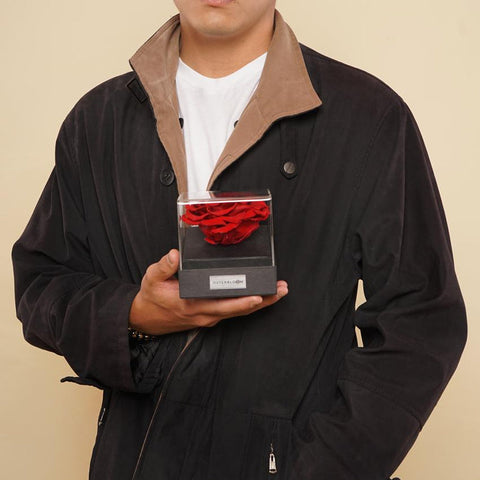 Astoria - Royal Purple