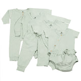 Kikido Hexa Leaf Appetite Hampers
