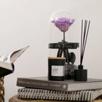 The Novo Enchanted Dome Special Edition - Majestic Lilac