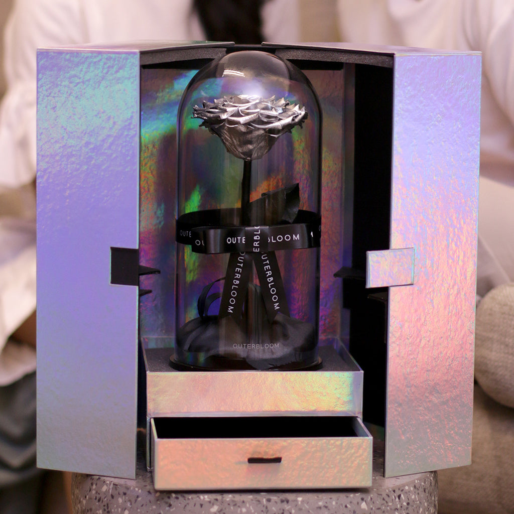 The Novo Enchanted Dome Special Edition - Moonlit Silver