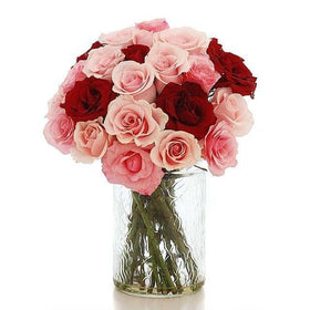 2 Dozen Of Red And Pink Roses in Vase