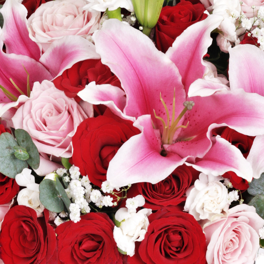 Bellarosa Bloom Box
