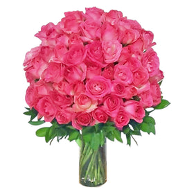 40 Pink Roses in Vase