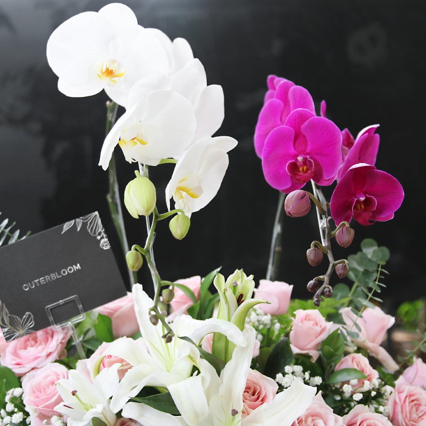 Imperial Orchid in Vase