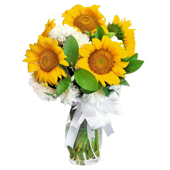 Sunflower Yellow And With White Daisies in Vase