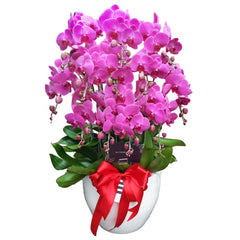 Luxury Purple Orchid Majesty in Vase