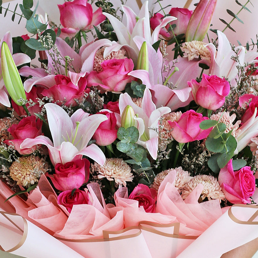 Pink Spencer Giant Flowers
