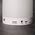 Outerbloom Custom Melodia Light Bluetooth Speaker