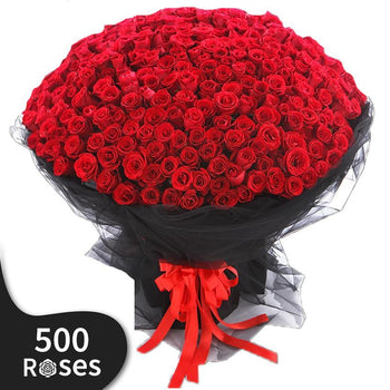 500 Days of Blooming Roses Giant Flowers