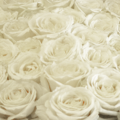 Black Pearl Dazzling White Small Bouquet