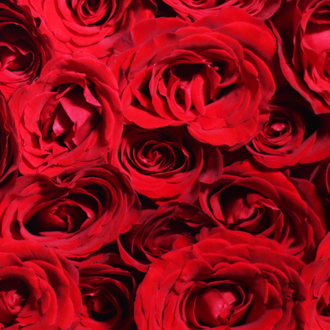 Black Pearl Classic Red Bouquet