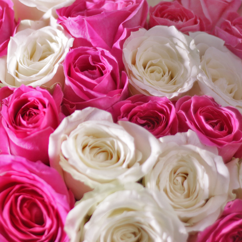 Love Scenario White Pink Small Bouquet