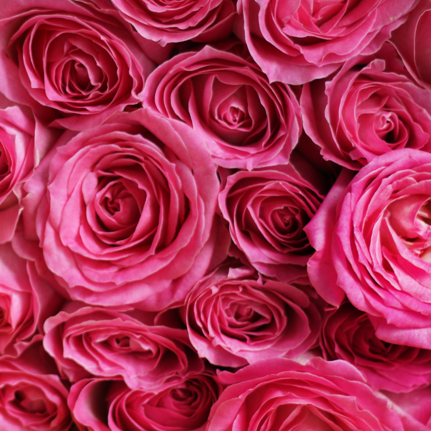 Love Scenario Sweet Pink Bouquet