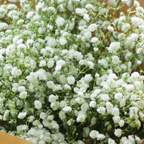 Let It Snow Bouquet