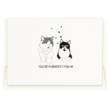 Outerbloom Cardkit Purrrfect for Me