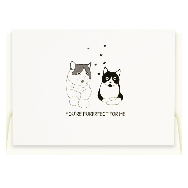 Outerbloom Cardkit Purrrfect for Me