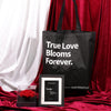 Outerbloom Moment of Love