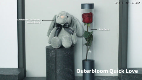 Outerbloom Quick Love
