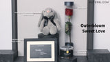 https://www.youtube.com/embed/OxTrdKTTAis