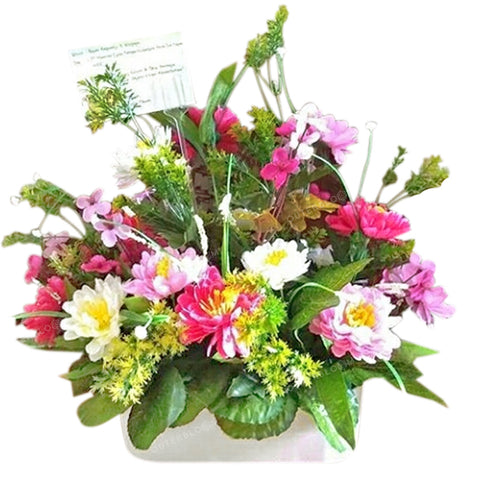 Gambar Pinky Promise Jenis Bunga