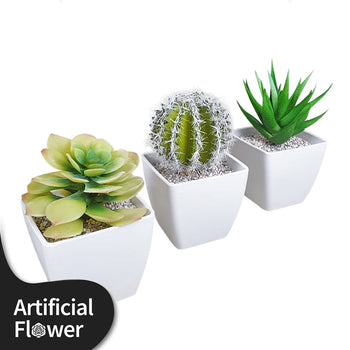 Plantae Trio Artificial