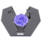 The Novo Astoria - Posh Purple