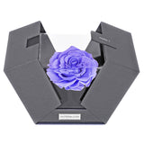 The Novo Astoria - Posh Purple