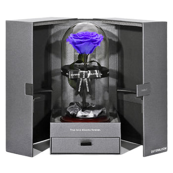The Novo Enchanted Dome - Posh Purple