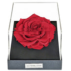 Evergreen Hexa Grand Hampers