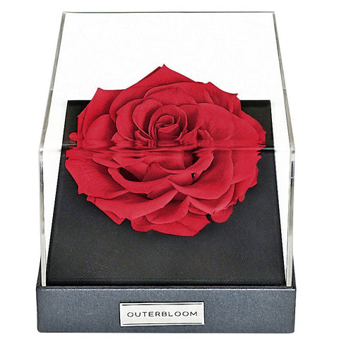 Evergreen Hexa Grand Hampers