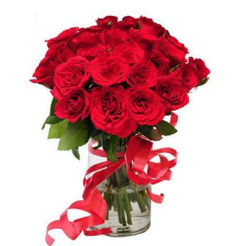 24 Red Roses in vase