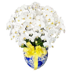 Luxury White Orchid Majesty in Vase