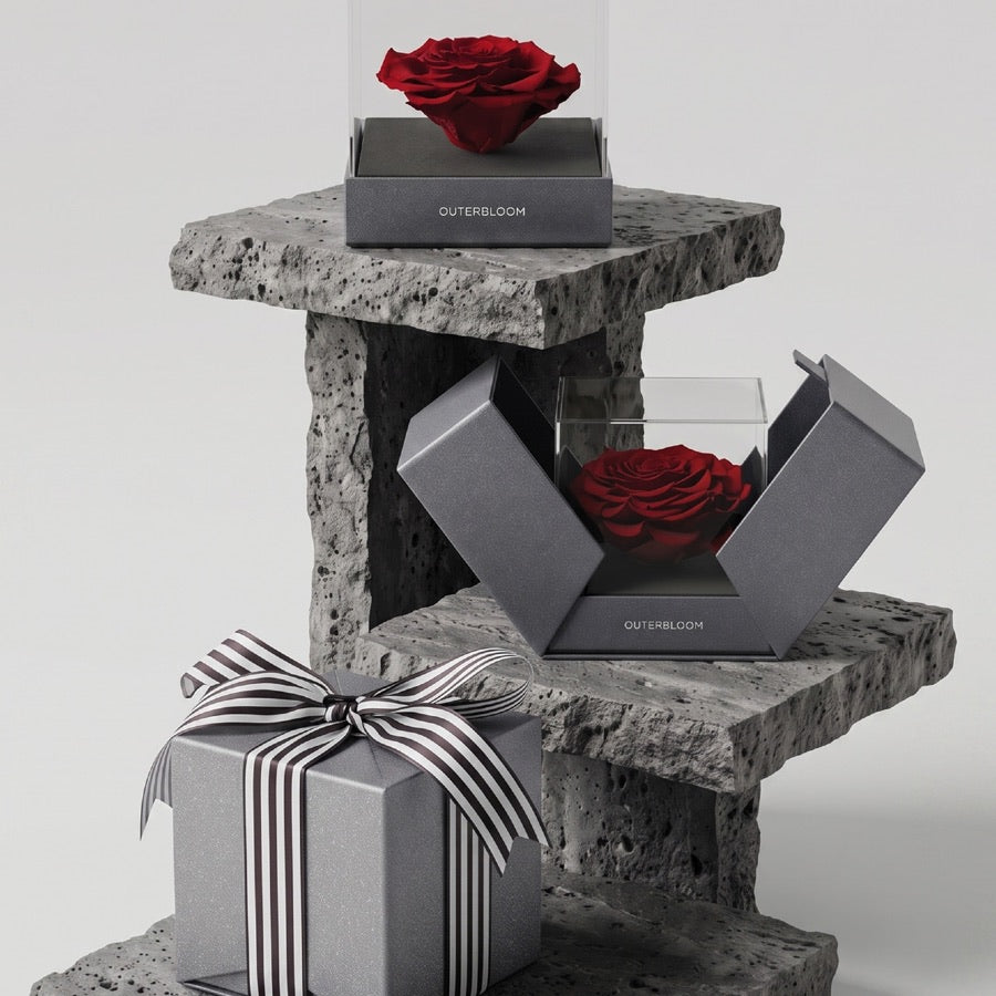 The Novo Astoria by Outerbloom, a preserved rose in a box that opens to a 180-degree reveal