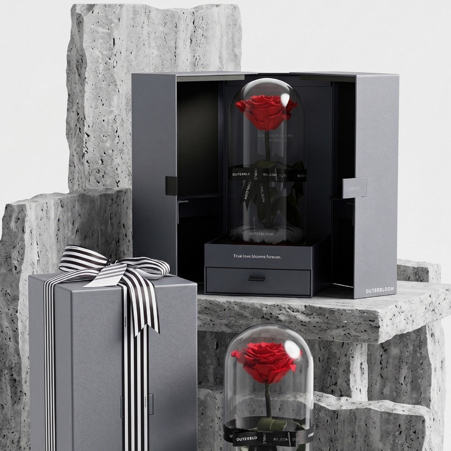 The Novo Enchanted Dome by Outerbloom, a preserved red rose under a glass dome in a grey gift box